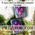 À Quoi Sert Le Miracle Léopard Du Miel 01